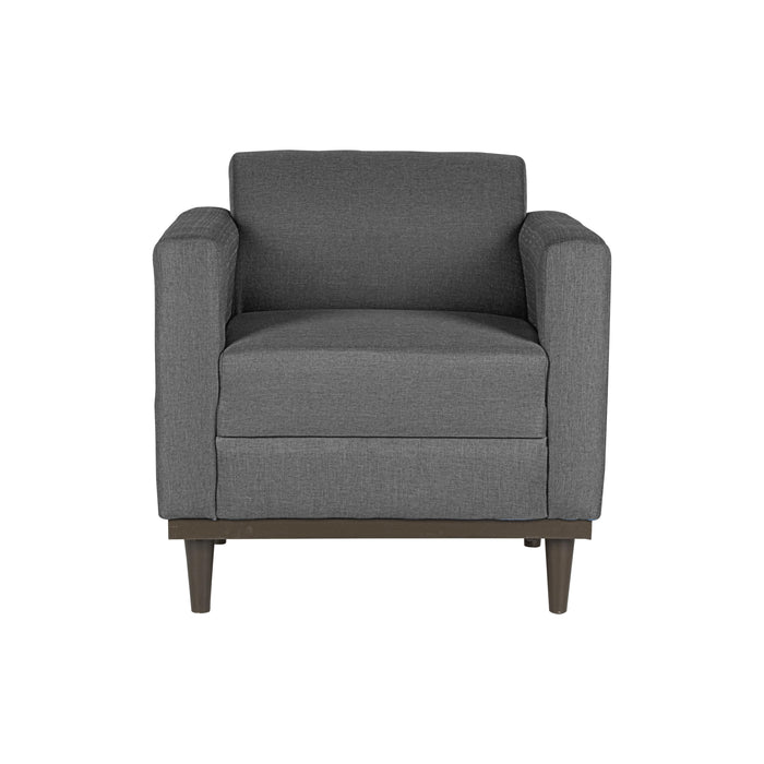 AIDEN CHAIR W/1 THROW PILLOW-SILVER GRAY